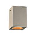 Plc Dominick Silver LED Exterior 1 Ceiling Light 2089SL